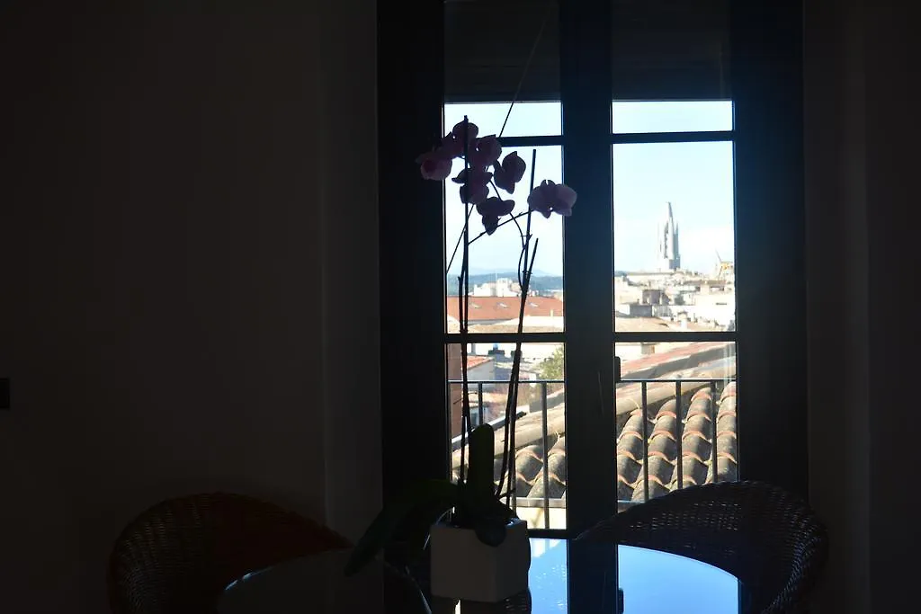 Nou Del Teatre 20 Apartment Girona 0*,  Spain
